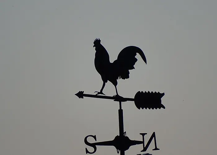 Sole del Mediterraneo