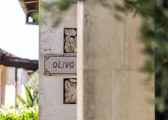 Agriturismo il Contadino